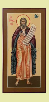 Икона Илия (Илья) Святой Пророк  Арт.2345