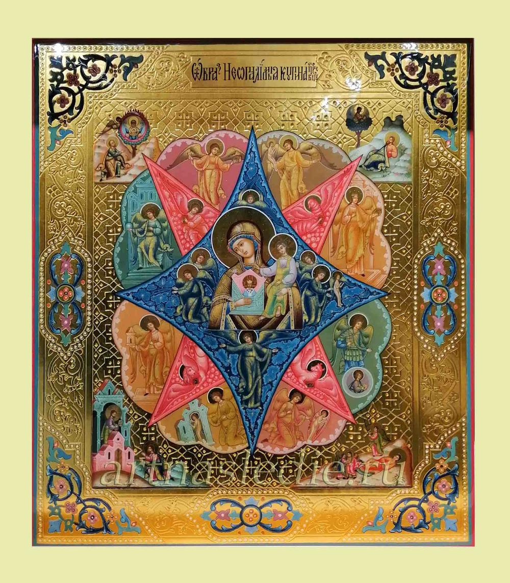 Икона Неопалимая Купина Пресвятая Богородица Арт. 3212
