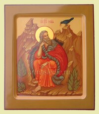 Икона Илия (Илья) Святой Пророк  Арт.0249