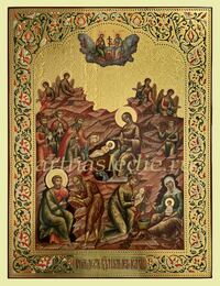 Икона Рождество Христово Арт.3933