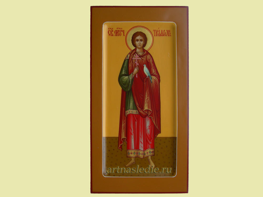 Икона Трифон Апамейский святой мученик. Арт.0718